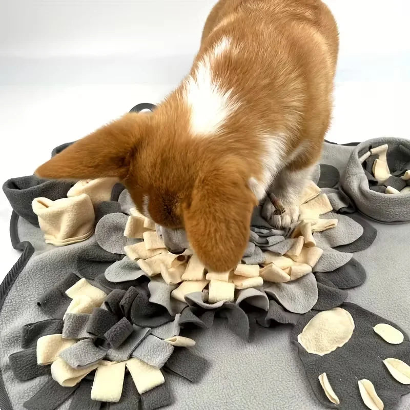 Premium Interactive Pet Snuffle Mat | Toto & Co.