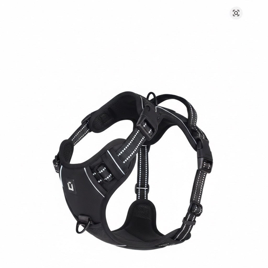 An Everyday Harness for Safe and Comfortable Walks | Toto & Co.