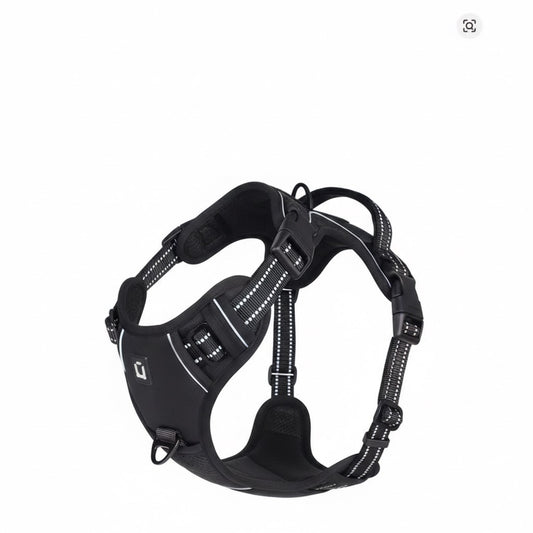 An Everyday Harness for Safe and Comfortable Walks | Toto & Co.