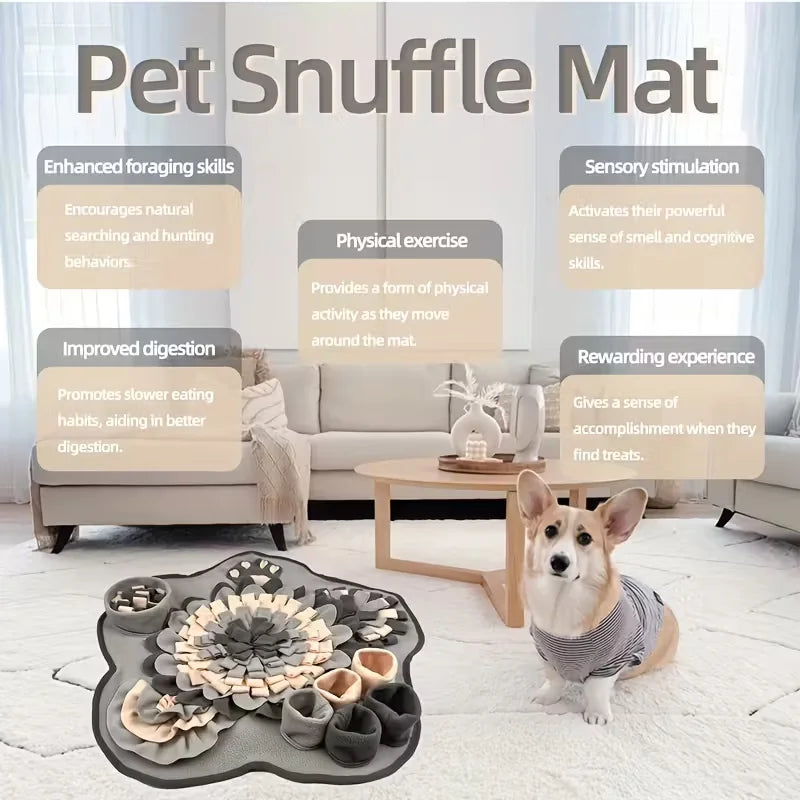 Premium Interactive Pet Snuffle Mat | Toto & Co.