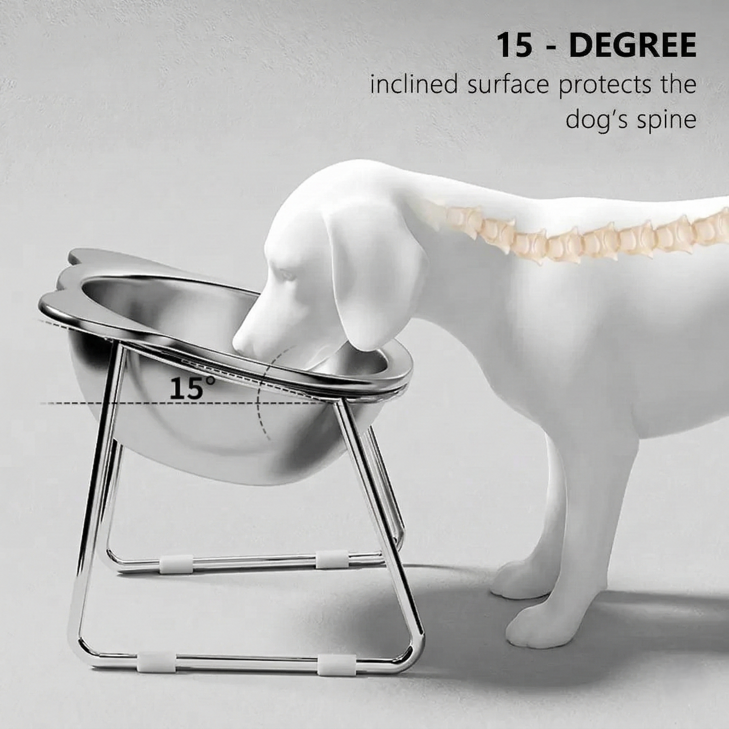 Elevated 15° Stainless Steel Dog Bowl | Toto & Co.