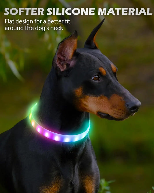 USB Rechargeable LED Silicone Dog Collar | Toto & Co.