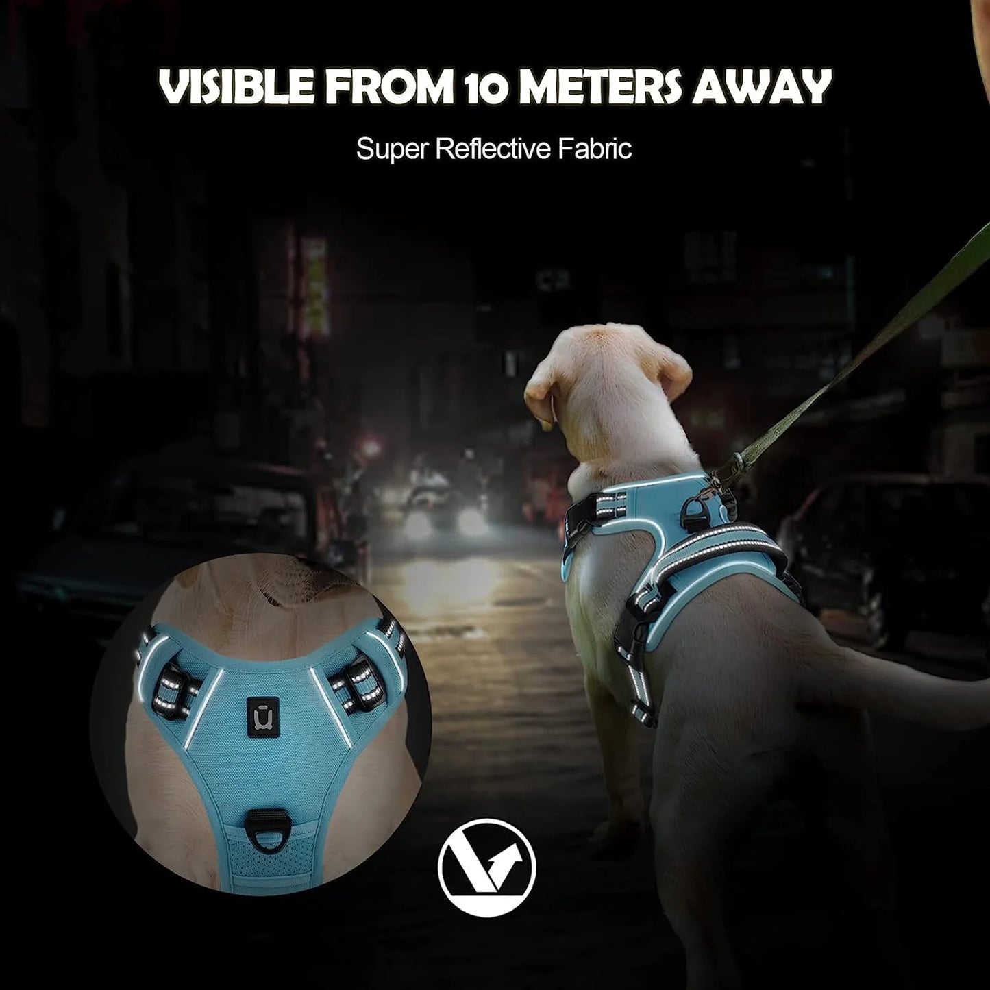 An Everyday Harness for Safe and Comfortable Walks | Toto & Co.