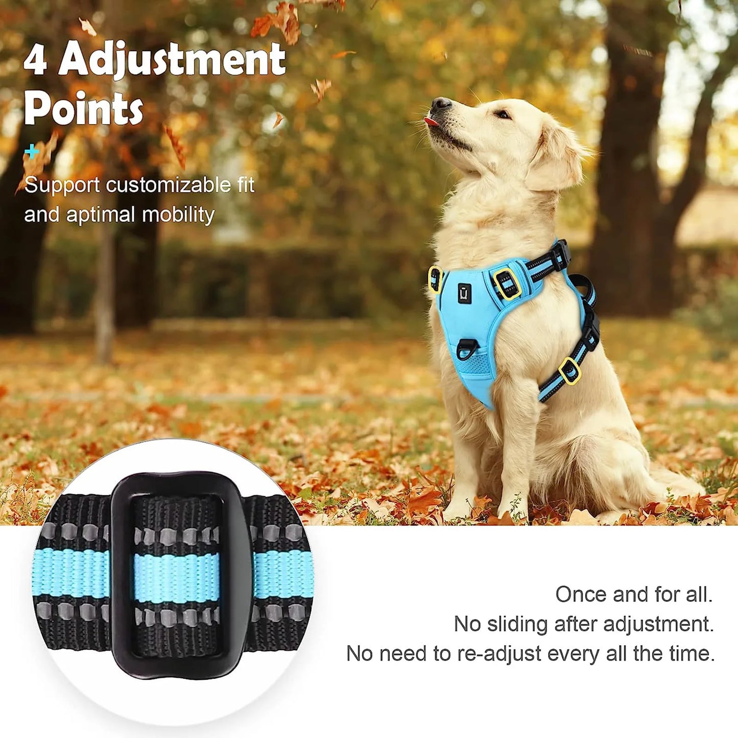 An Everyday Harness for Safe and Comfortable Walks | Toto & Co.