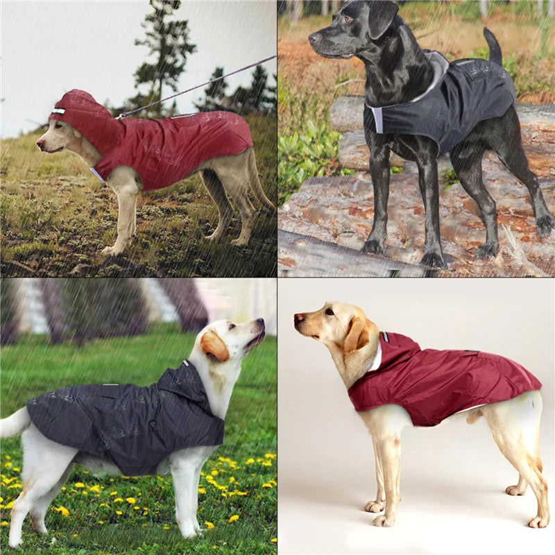 Lightweight Reflective Dog Raincoat | Toto & Co.