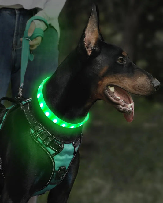 USB Rechargeable LED Silicone Dog Collar | Toto & Co.