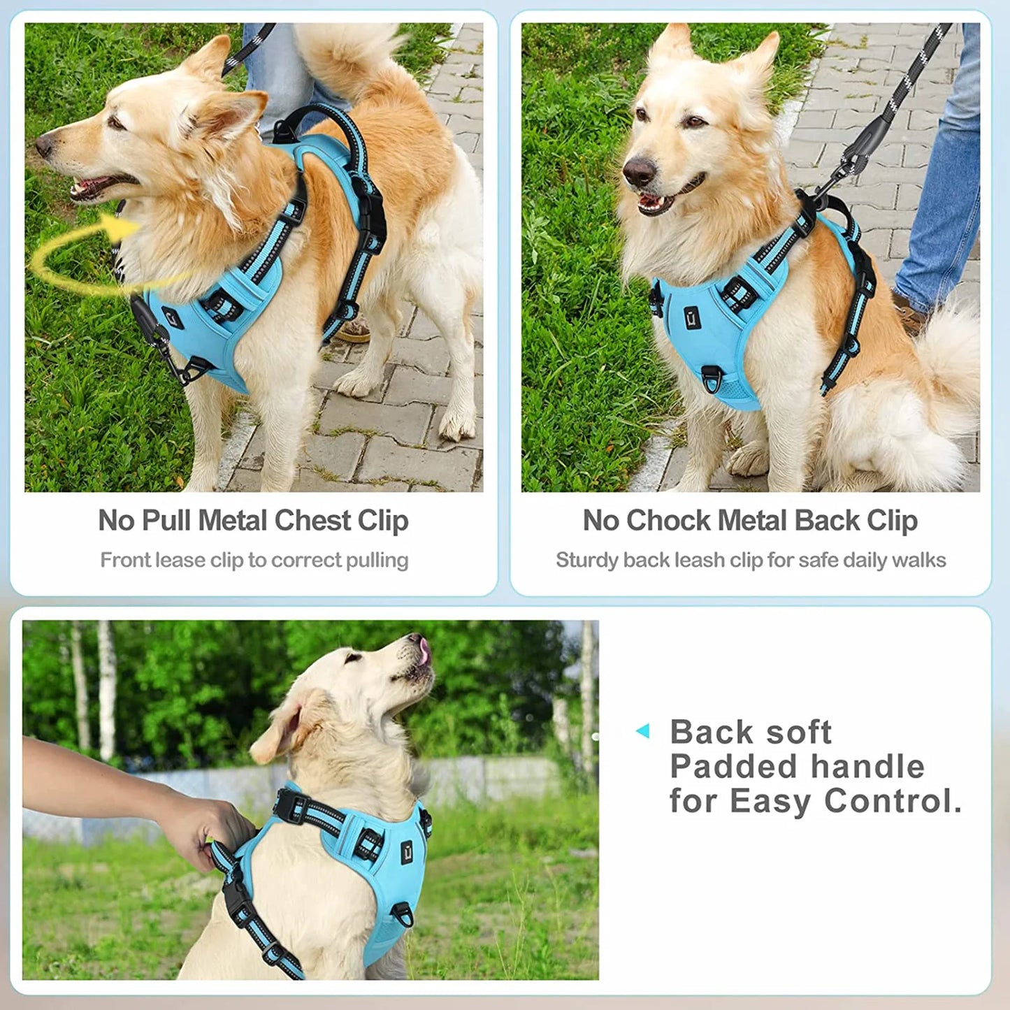 An Everyday Harness for Safe and Comfortable Walks | Toto & Co.