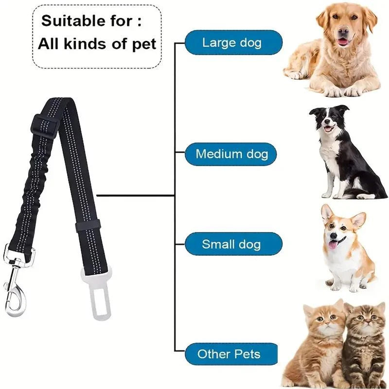 Adjustable Bungee Car Seat Belt | Toto & Co.