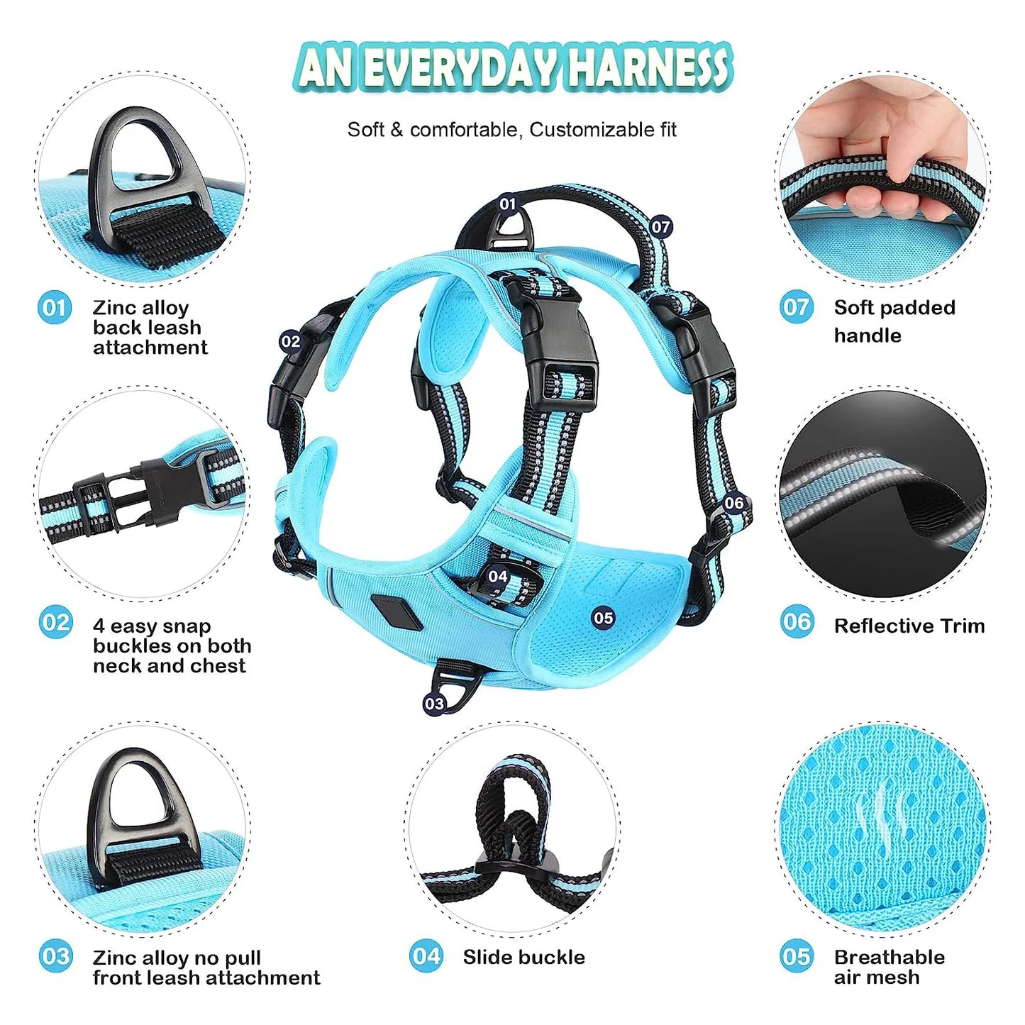 An Everyday Harness for Safe and Comfortable Walks | Toto & Co.
