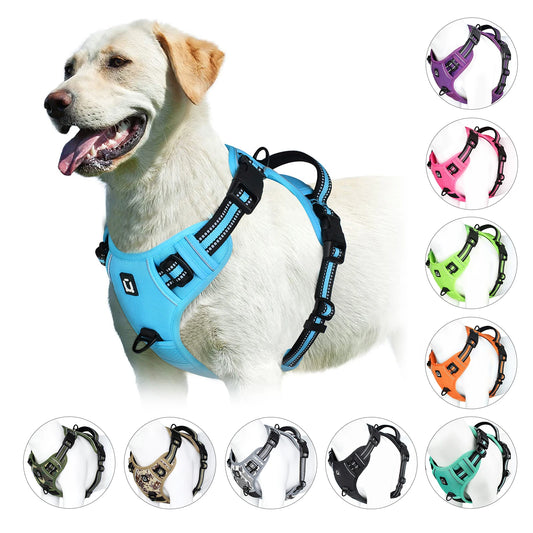An Everyday Harness for Safe and Comfortable Walks | Toto & Co.