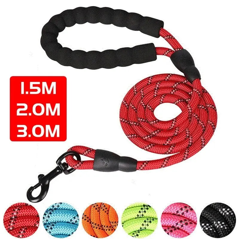 Everyday Reflective Rope Leash | Toto & Co.