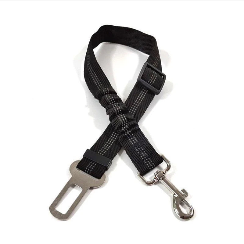 Adjustable Bungee Car Seat Belt | Toto & Co.